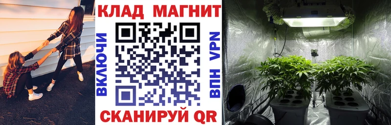 Магазин наркотиков Тайшет ГАШИШ  АМФ  Кокаин  МЕГА зеркало  МЕФ  Конопля  A PVP 