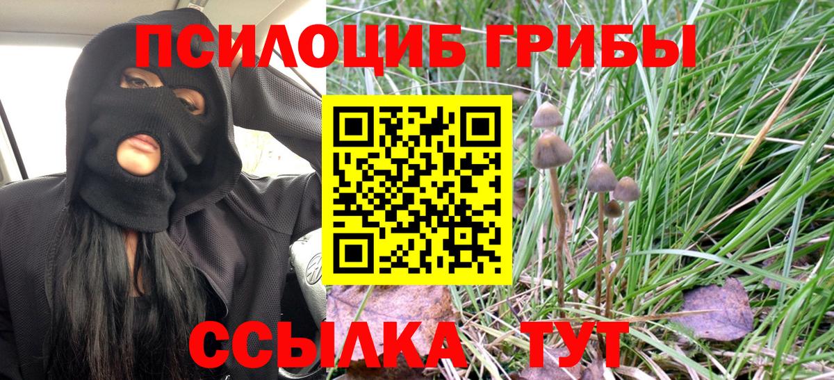 Псилоцибиновые грибы MAGIC MUSHROOMS  Вход с VPN  Тайшет 