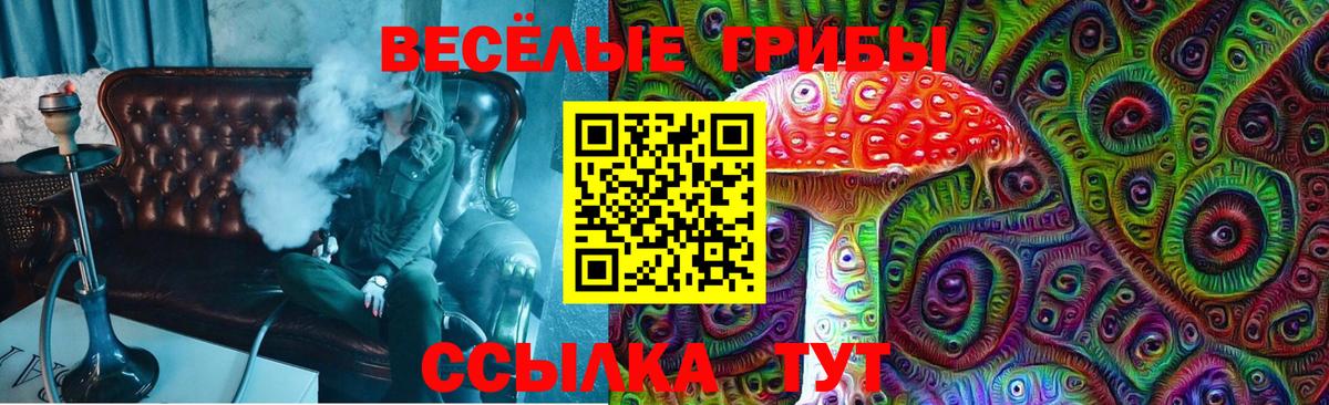 Галлюциногенные грибы прущие грибы Тайшет